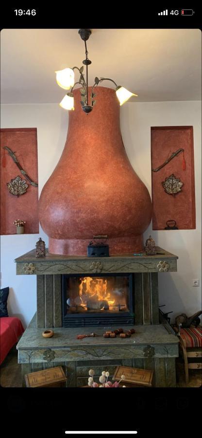 Η Θεα Traditional House Makrinítsa Buitenkant foto