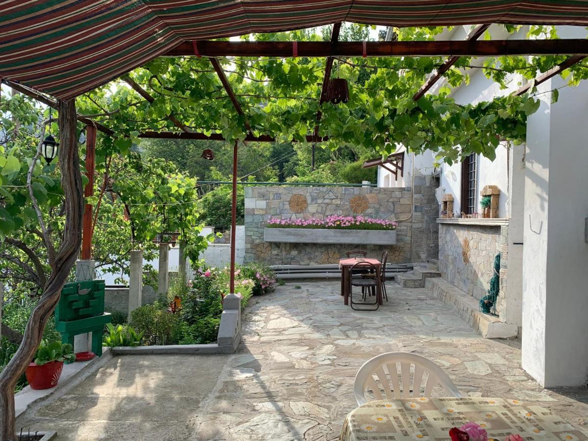 Η Θεα Traditional House Makrinítsa Buitenkant foto